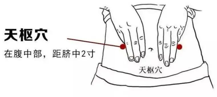 【秘友必看】劉畊宏老婆都羨慕他一天規(guī)律排便“4次”，學會這個方法真是太絕了?。。? data-fail=